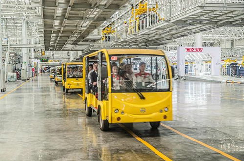 先看后試再下單，長(zhǎng)城汽車(chē)工廠直銷(xiāo)特賣(mài)會(huì)狂收訂單572臺(tái)